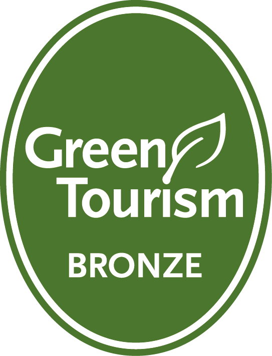 Trip Advisor